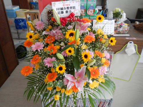 dscn0387