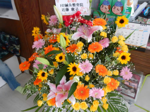 dscn0398