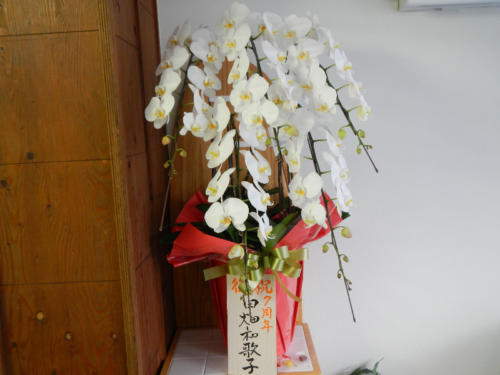 dscn0424